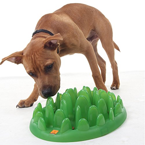 Northmate Green Slow Feeder-Small - size: Mini