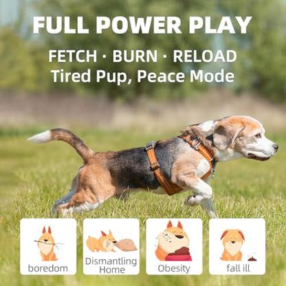 Automatic Dog Ball Launcher-Small Silent Dog Ball Thrower, 3 Adjustable Distances (20ft/33ft/46ft), Rechargable,Includes 3 Durable 2.3" Balls for Small/Medium Dogs (Blue, Medium) - color: Blue