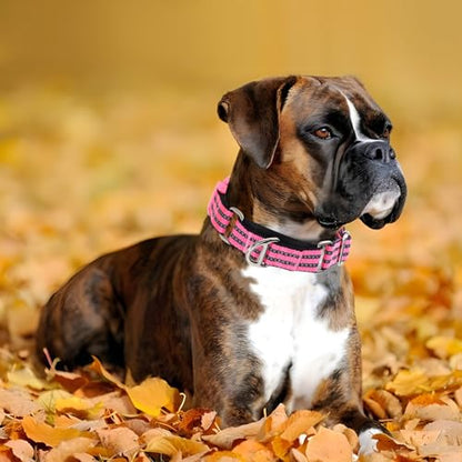Martingale Dog Collars Reflective Nylon Dog Collar with Quick Release Buckle Adjustable Training No Slip Dog Collar (Small,Pink) - color: P, size: S