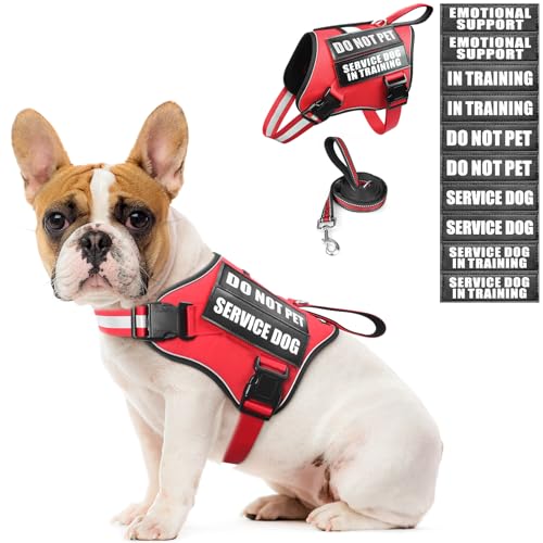 Service Dog Vest Harness and Leash Set+10 Patches,No Pull&Adjustable Reflective Dog Harness with Soft Padded Handle for Training/Everyday,Fit Small/Medium/Large/Extra-Large Dogs (Red S) - color: Red, size: Small