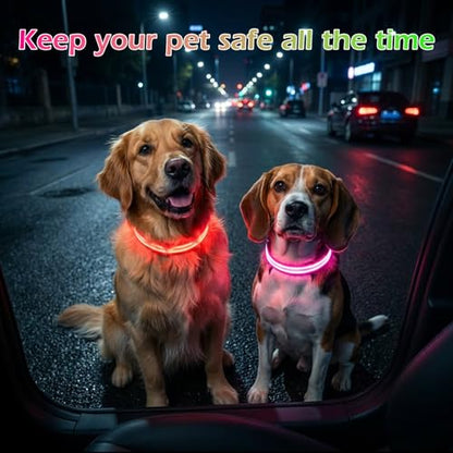 Neon LED Light Up Dog Collar for Night Walking, Rechargeable Safety Glow Illuminated Collar with 3 Modes Flashing, Reflective Adjustable Pet Light for Small/Medium Dogs Puppy 15-19" Neck (Red) - color: 1-Pack(Red)&Medium