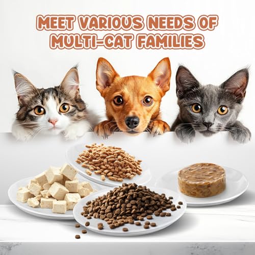 Andaliz 5.7 inch Ceramic Cat Food Bowl Set (6-Piece) - Shallow Dishes for Wet Food & Water, Whisker Fatigue Cat Plates, Kitten Saucers for Indoor Cats