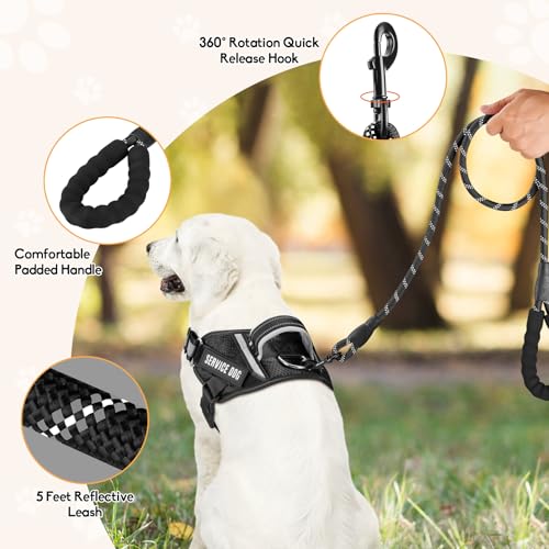 Service Dog Vest Harness and Leash Set, Animire in Training Dog Harness with 10 Dog Patches, Reflective Dog Leash with Soft Padded Handle for Small, Medium, Large, and Extra-Large Dogs (Black, XS) - color: Black, size: XS