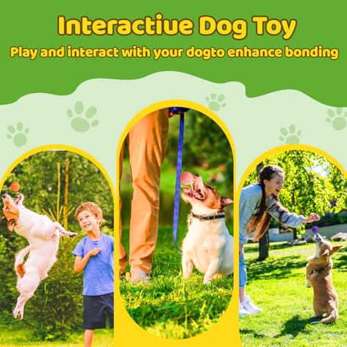 20 Pack Tennis Balls for Dogs, 2 inch Dog Toy Ball with Mesh Bag, Small Tennis Balls Pet Dog Playing Ball for Pet Puppy (5 Color)