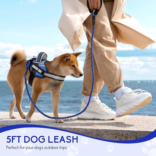 Service Dog Vest Harness and Leash Set, Animire in Training Dog Harness with 10 Dog Patches, Reflective Dog Leash with Soft Padded Handle for Small, Medium, Large, and Extra-Large Dogs - color: Blue, size: XXS