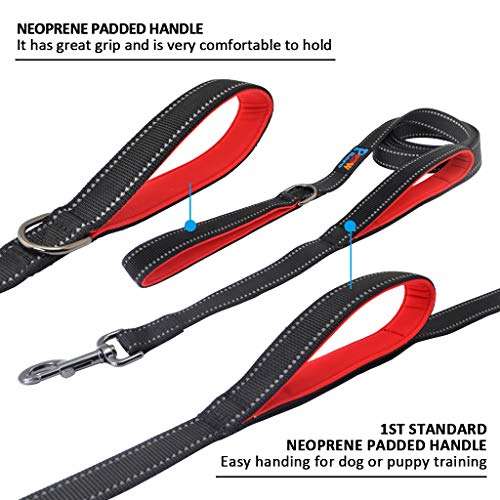 Powboro Double Handle Dog Leash, Heavy Duty Leash, Traffic Padded Handle, Reflective Stitching,6ft Long Dog Lead for Control All Dog Safety Training Walking Hiking (Black) - color: Black