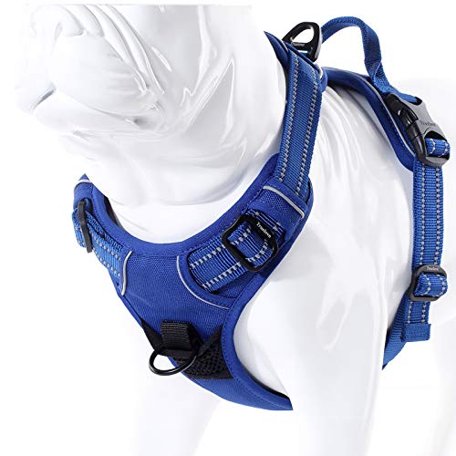 JUXZH Truelove No Pull Dog Harness with Easy Control Handle and 2 Leash Attachments,Reflective Adjustable Pet Vest - color: Royal Blue, size: X-small (Pack of 1)