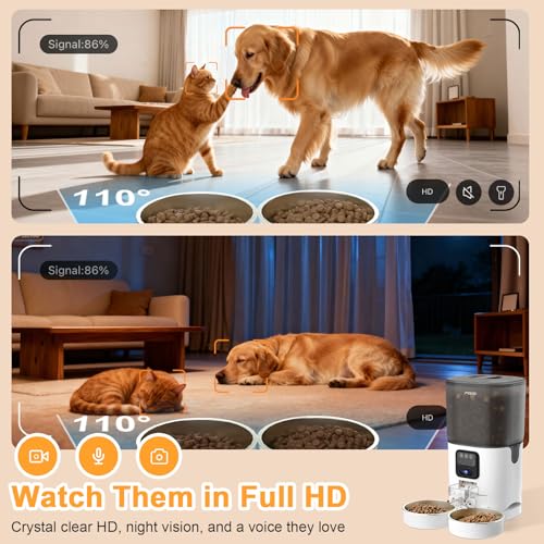 7L Automatic Pet Feeder with 1080P HD Wide Angle Camera, Smart WiFi Function, App Controlled, Night Vision Feature, Two-Way Audio, Suitable for Cats and Dogs. - size: 7L Double Bowl Video Edition