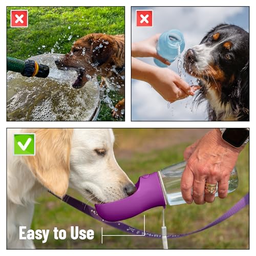 Mr. Pen- Portable Dog Water Bottle, 19 oz, Large, Leak Proof Puppy Water Dispenser with Drinking Feeder for Pets, Outdoor Walking, Hiking, Travel, Not Dishwasher Safe - color: Purple