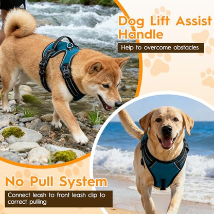No Pull Dog Harness, No Chock Reflective Adjustable Soft Padded Pet Vest with Easy Control Handle, Easy Wearing with Stylish, Reinforced Knot, 2 Buckles - color: Frosted Aqua, size: X-Small