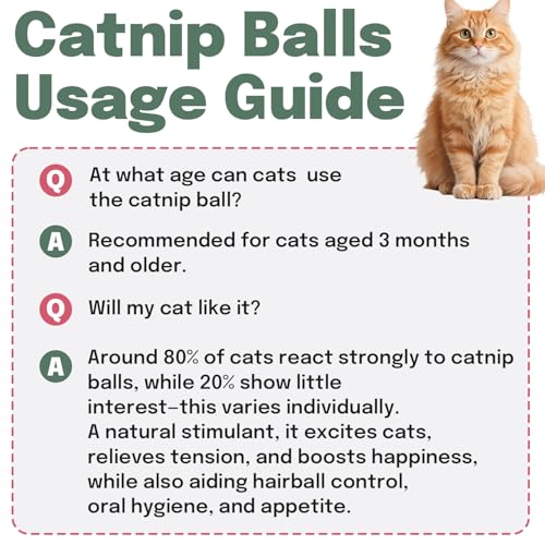 Cat Nip Balls, 4 Catnip Balls and 2 Gall Fruit Balls, Catnip Licking Ball Toys for Indoor Cats