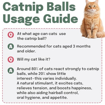 Cat Nip Balls, 4 Catnip Balls and 2 Gall Fruit Balls, Catnip Licking Ball Toys for Indoor Cats