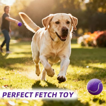 PoyPet 16-Pack Tennis Balls Bulk for Practice,Training and Beginners | Ideal for Dog Fetch,Chew and Play - color: Purple
