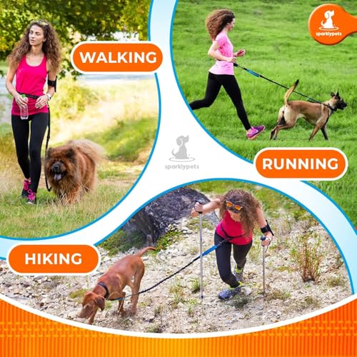 SparklyPets - Hands Free Dog Leash with Reflective Stitches - Waist Leash for Male Dog Walking, Hiking, Training, Jogging, Canicross, Running - Medium & Large Dogs, Gradient Blue - color: Gradient Blue, size: 1 dog M/L