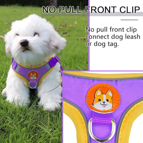 Adjustable No-Pull Dog Harness for Small and Medium Dogs, Comfortable Reflective Vest with Leash Set and Dual Clips, Secure and Lightweight Pet Walking Gear