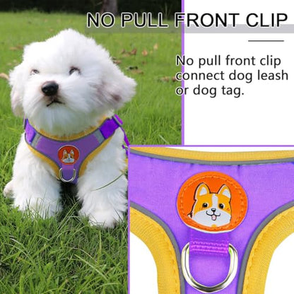 Adjustable No-Pull Dog Harness for Small and Medium Dogs, Comfortable Reflective Vest with Leash Set and Dual Clips, Secure and Lightweight Pet Walking Gear