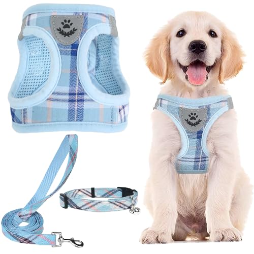 PUPTECK Adjustable Dog Harness Collar and Leash Set Step in No Pull Pet Harness for Small Medium Dogs Puppy and Cats Outdoor Walking Running, Soft Mesh Padded Reflective Vest Harnesses, Blue S - color: Blue, size: S (CHEST 14.5"-16")