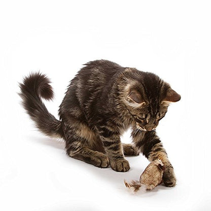 OurPet's Play-N-Squeak Twice the Mice Cat Toy, 2pc (Interactive Catnip Toy, Real Mouse Electronic Sound) - style: Twice the Mice (Pack of 2)