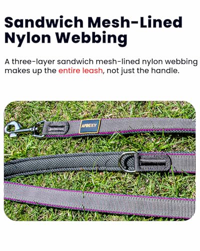 Heavy Duty Leash for Large Dogs that Pull, Two Handle Dog Leash, Three-Layer Sandwich Mesh-Lined Nylon Webbing, Sturdy Metal Zinc Hook, 6FT Long, Large Medium Dogs (Blue/Grey, 1'' X 6ft.) - color: Blue/Grey, size: 1'' X 6ft.