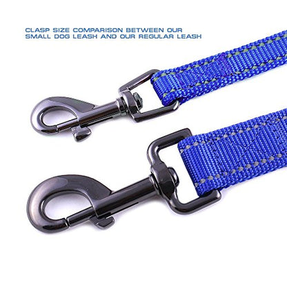 Max and Neo Small Dog Reflective Nylon Leash - Every Purchase Donates One, 4x5/8" (Blue) - color: BLUE, size: 4 FT x 5/8" Wide