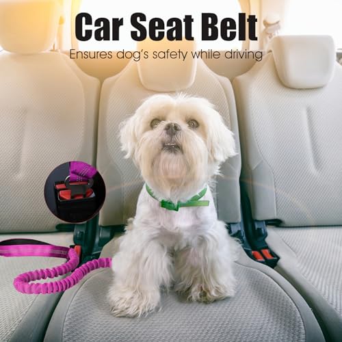 BUMBIN 6Ft Dog Leash Large Dogs, Bungee Dog Leash with 2 Handles, Heavy Duty Leashes for Medium Small Dogs, No Pull Shock Absorbing，with Car Seat Belt for Training, Pink - color: Rose Red