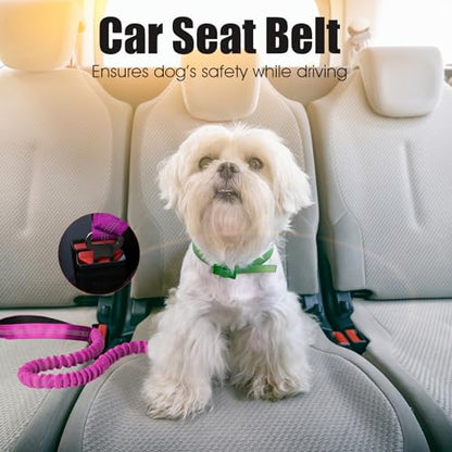 BUMBIN 6Ft Dog Leash Large Dogs, Bungee Dog Leash with 2 Handles, Heavy Duty Leashes for Medium Small Dogs, No Pull Shock Absorbing，with Car Seat Belt for Training, Pink - color: Rose Red