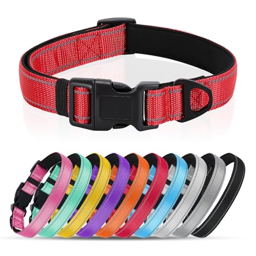 Reflective Dog Collar with Quick Release Buckle - Metal Ring - Adjustable Soft Neoprene Padded Basic Dog Collar for Small Medium Large Dogs (Red, Medium :Width 1",Neck 13.8-19.6") - color: Red, size: Medium