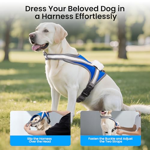Light Up Dog Harness, Reflective Adjustable Dog Vest, No Pull Illuminated LED Harness for Dogs Night Walking Hiking Running, Waterproof,Lightweight(Large, Blue)