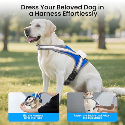 Light Up Dog Harness, Reflective Adjustable Dog Vest, No Pull Illuminated LED Harness for Dogs Night Walking Hiking Running, Waterproof,Lightweight(Large, Blue)