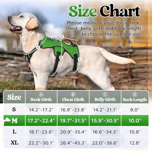 rabbitgoo Escape Proof Dog Harness, Soft Padded Full Body Pet Harness, Reflective Adjustable No Pull Vest with Lift Handle and Lesh Clip for Large Dogs Walking Hiking Training, M, Green - color: Green, size: Medium (Pack of 1)