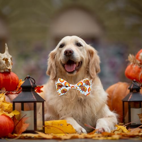 Thanksgiving Dog Collar with Bow Tie,Turkey and Rainbow Pattern Holiday Pet Collar Set for Small Medium Large Dogs, Adjustable Festive Fall Puppies - color: Thanksgiving Turkey, size: Medium-(12.5-20") Neck * 3/4" Wide