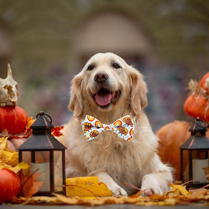 Thanksgiving Dog Collar with Bow Tie,Turkey and Rainbow Pattern Holiday Pet Collar Set for Small Medium Large Dogs, Adjustable Festive Fall Puppies - color: Thanksgiving Turkey, size: Medium-(12.5-20") Neck * 3/4" Wide