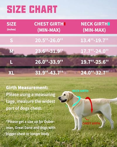 AUROTH Dog Harness and Leash Set, Soft Padded Service Dog Vest with 5.25FT Dog Leash, No Choke, Easy On Pet Vest, Adjustable Reflective No Pull Dog Harness Small Sized Dog, Easy Walking and Training - color: Pink Camo, size: Small