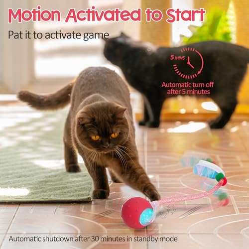 Interactive Cat Toys Ball for Indoor Cats, 2025 New Generation Automatic Moving Ball Toy with Elastic Mesh Tail, Chirping & Obstacle Avoidance and Motion Activated, Red【Rechargeable】 - color: Red