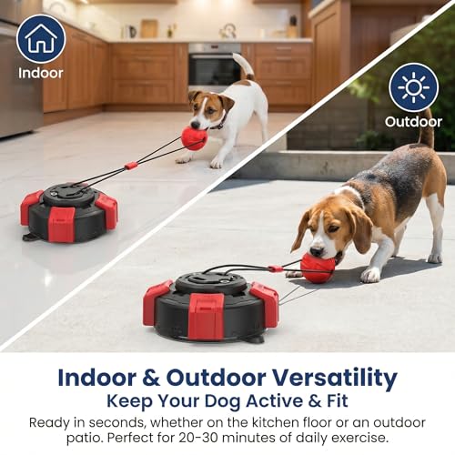 Interactive Dog Toys Tug of War for Small Medium Dogs, Rotating Lock Suction Cup Dog Toy to Keep Them Busy, Steel-Core Rope Puppy Teething Toy for Boredom, Durable Chew Toy for Tile Wood Floor