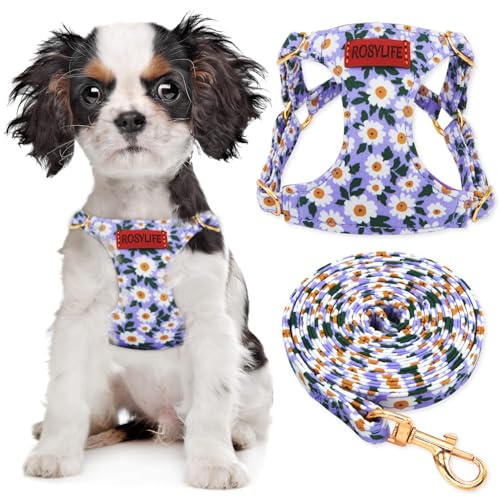 No Pull Dog Harness Adjustable Small Dog Harness and Leash Set, Lightweight and Soft Dog Harness No Choke Escape Proof Pet Harness Vest (Purple Daisy, XX-Small) - color: Purple Daisy, size: XX-Small
