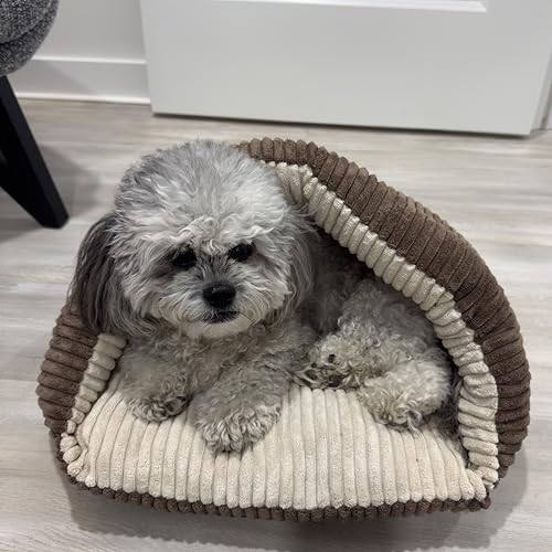 SPOT Sleep Zone Cuddle Cave - Cat Cave Bed for Indoor Cats and Mini Dogs, Durable, Comfortable, Washable for Kittens and Puppies Under 10 lbs and 12 inches Long, Corduroy Brown - style: Corduroy