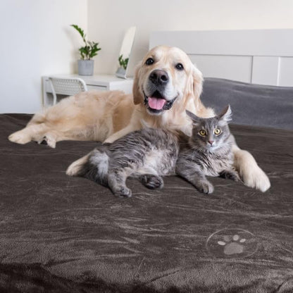 Waterproof Pet Blanket Collection– Reversible Throw Protects Couch, Car, Bed from Spills, Stains, or Fur – Dog and Cat Blankets by PETMAKER Dark Gray Large - color: Dark Gray, size: Small
