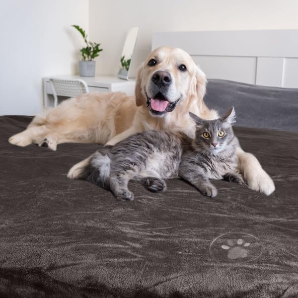 Waterproof Pet Blanket Collection– Reversible Throw Protects Couch, Car, Bed from Spills, Stains, or Fur – Dog and Cat Blankets by PETMAKER Dark Gray Large - color: Dark Gray, size: Small