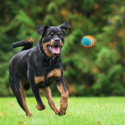 ALL FOR PAWS 2.5" Tennis Balls for Dogs, Dog Balls for Ball Launcher Toy, Bouncy & Durable Fetch Balls for Medium Large Dogs, 4 Pack Fetch Toy for Outdoor Play - size: 2.5"ball