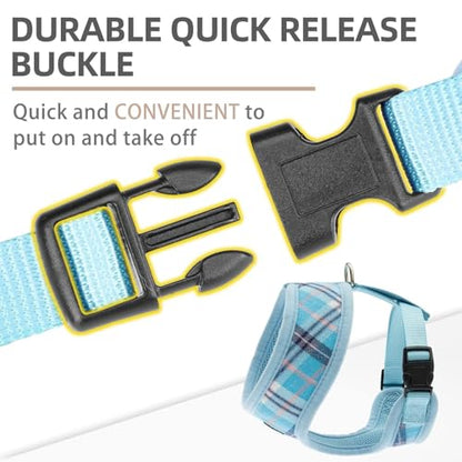 PUPTECK Soft Mesh Dog Harness and Leash Set Pet Puppy Cat Comfort Padded Vest No Pull Harnesses, Light Blue, XS - color: Blue, size: XS (NECK: 10", CHEST: 10"-14")