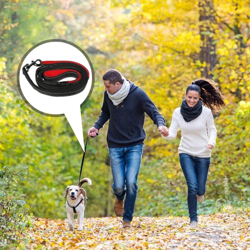 Beaupretty Double Handle Dog Leash Outdoor Pet Walking Leash with Traffic Handle for Medium Dogs Comfortable Non-Chafing Grey and Red Traction Rope