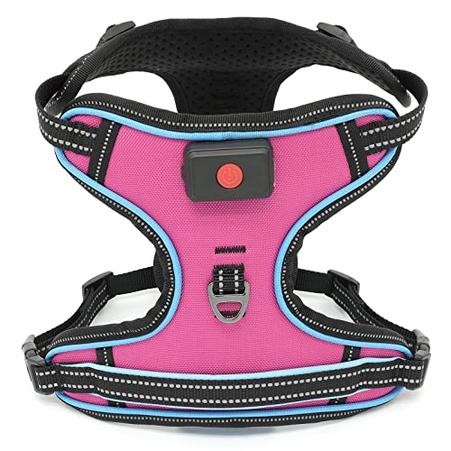 Safety LED Dog Harness - Light Up Dog Vest, No-Pull Dog Harness - Rechargeable Glowing Pet Harness for Night Walking & Camping (Pink+Blue Light, Medium) - color: Pink+Blue Light, size: Medium