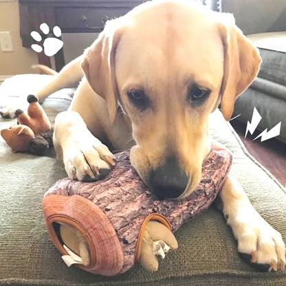 Squirrel Hide and Seek Dog Toy, Squeaky Interactive Dog Toys for Boredom, Plush Dogs Toys to Keep Them Busy, Relive Anxiety, Attract Attention, Puzzle Toy for Smal and Medium Dogs - style: Squirrel