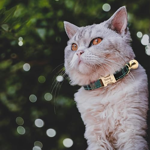 Personalized Plaid Cat Collar with Bell - Non-Breakaway Custom Polyester Kitten Collar with Engraved Name & Phone Number (Pattern 07, L (7.5-12.5 Inches)) - color: Pattern 07, size: L (7.5-12.5 Inches)