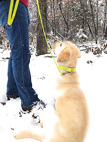 Regal Dog Products Waterproof Leash – 5 ft. Yellow Dog Leash with Easy to Use Collar Hook, Lightweight, and Proof Training Pet Lead with Vinyl-Coated Webbing for Small, Medium, Large, or XL Dogs - color: Yellow