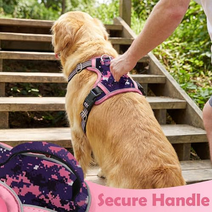 Funfox Dog Harness No Pull, Adjustable Pet Vest Harness, Super Soft Material with Vertical Handle Easy Control, Reflective Night Walking, 2 Leash Clips for Medium Sized Dogs, Mosaic Pink, M - color: Mosaic Pink, size: Medium