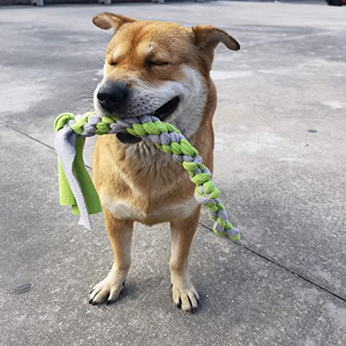 Dewonch Dog Fleece Rope Teaser Toy as Replacement to Chase and Tug (B-2PCS) - style: B-2PCS