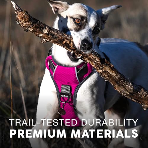 Embark Adventure Dog Harness for Small, Medium & Large Dogs – No Pull, Reflective Trim, Military Grade Nylon, 2 Leash Clips, Gel-Lined Handle, Soft Padded - color: Pink, size: XS
