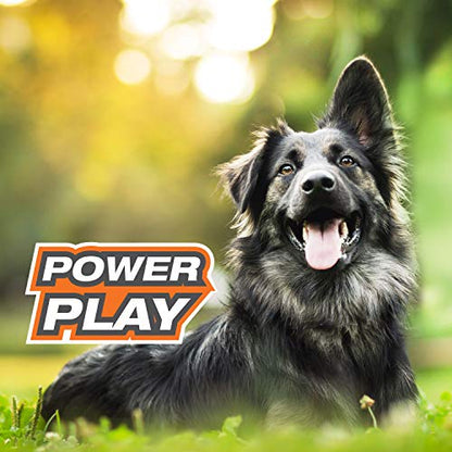 Nylabone Power Play Felt Football Gripz Fetch Toy, Squeaky Ball Chew Toy for Dogs, Large (1 Count) - size: Large